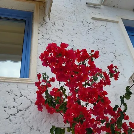 Peaceful And Very Relaxing Near Crete Sea *